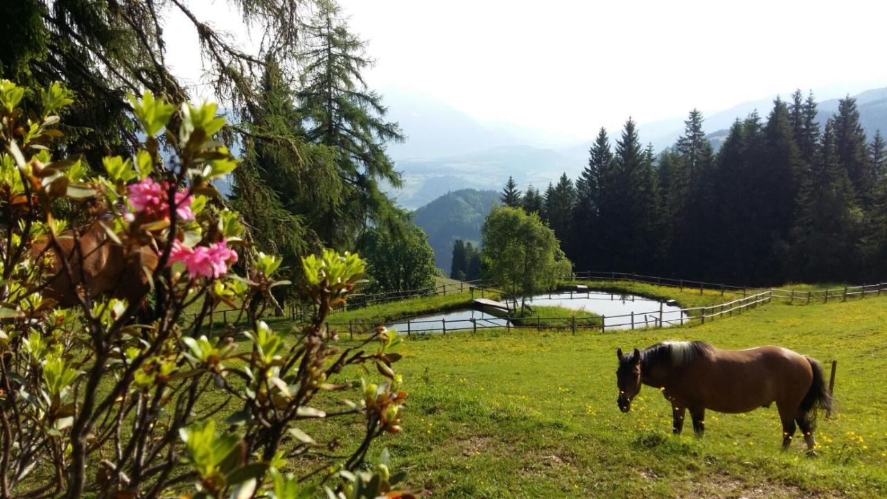 Kirchenbichlerhof Villa Pruggern Dış mekan fotoğraf