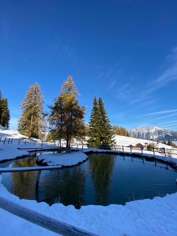 Kirchenbichlerhof Villa Pruggern Dış mekan fotoğraf