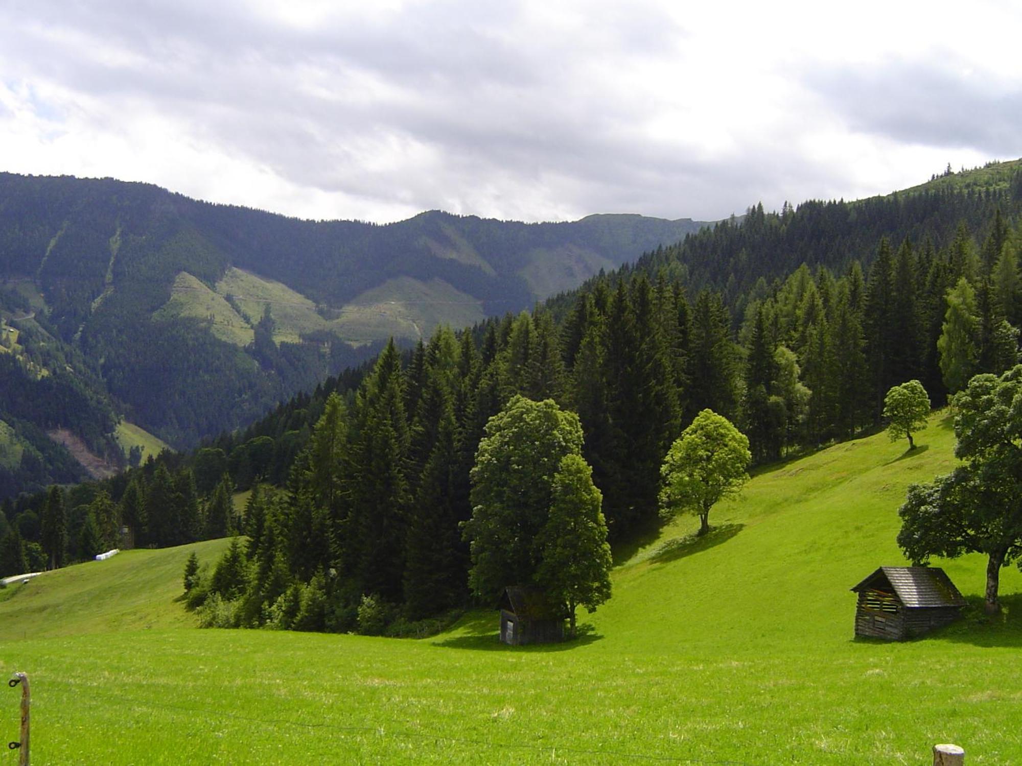 Kirchenbichlerhof Villa Pruggern Dış mekan fotoğraf